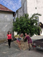 /album/oprava-farniho-arealu/holky-uprava-arealu-jpg/
